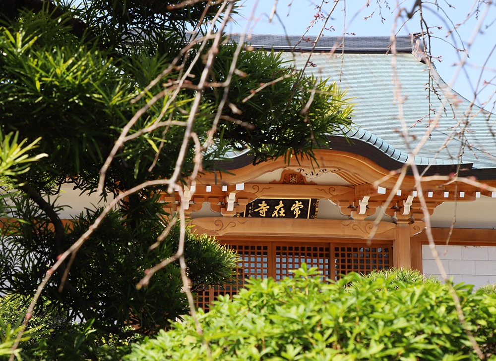 常在寺の歴史