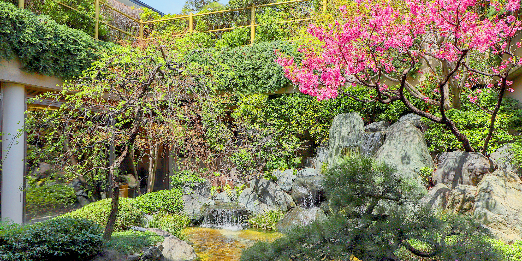 地下庭園
