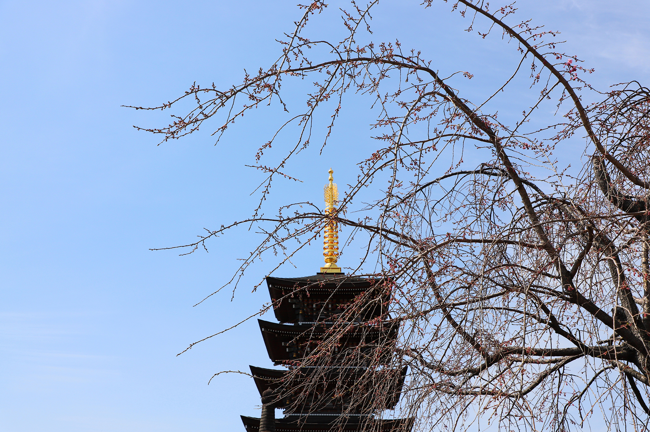 五重塔