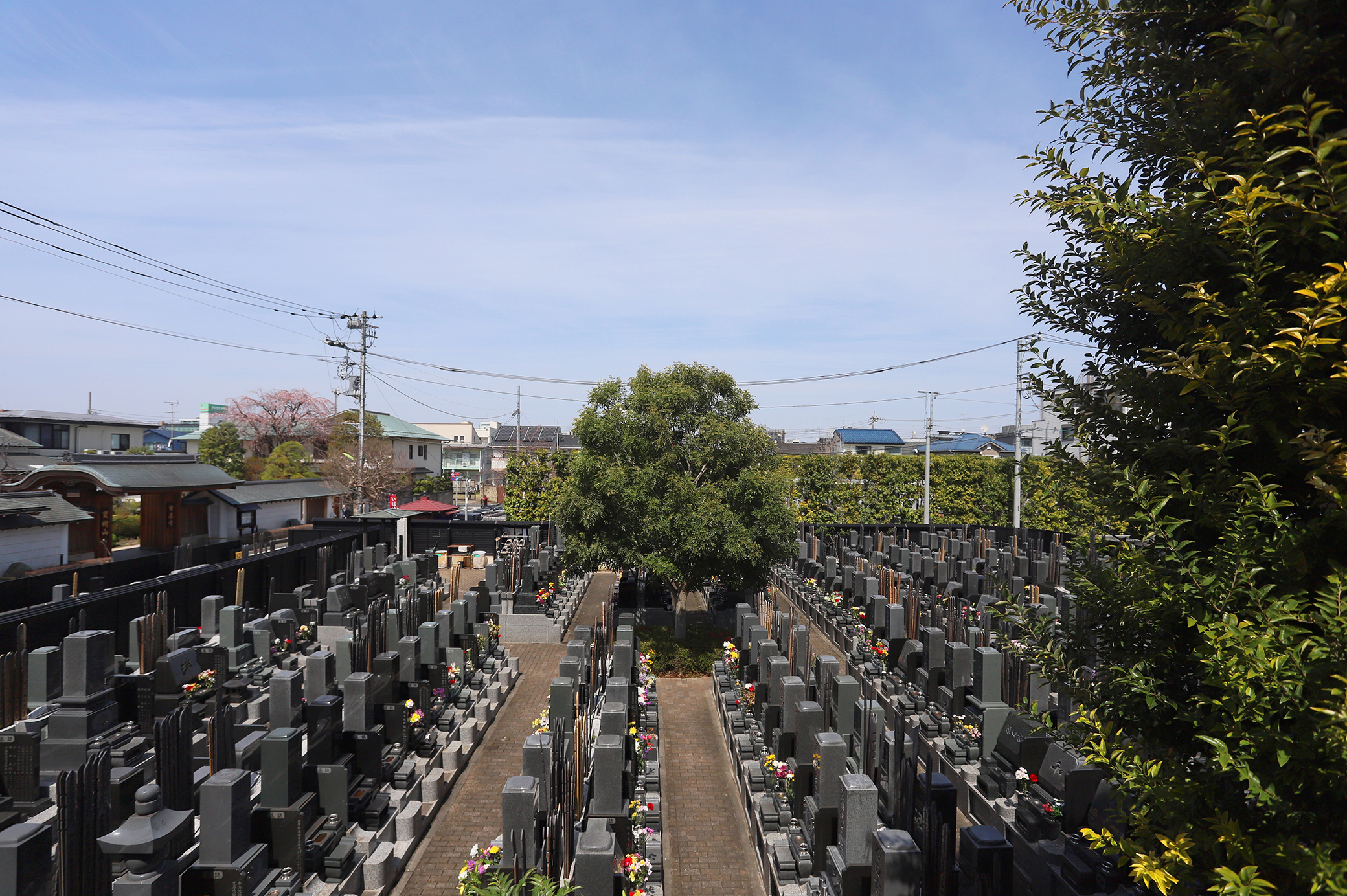 境内墓地